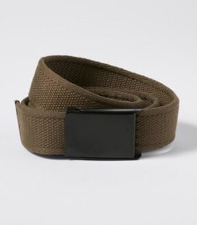Plate Buckle Belt
