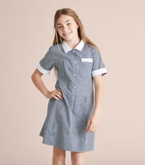 Gingham School Dress