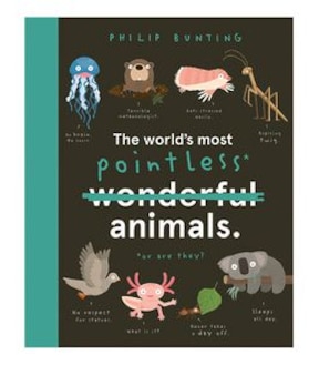 World's Most Pointless Animals - Philip Bunting