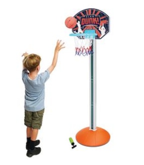 Free Standing Basketball Unit