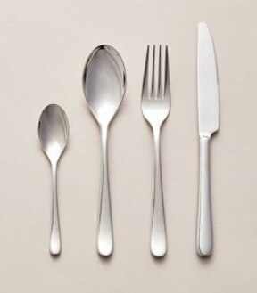 16 Piece Hattan Stainless Steel Set