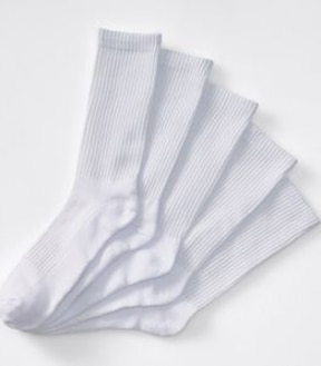 Maxx 5 Pack Crew Sport Socks