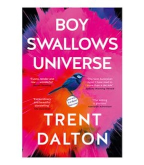 Boy Swallows Universe