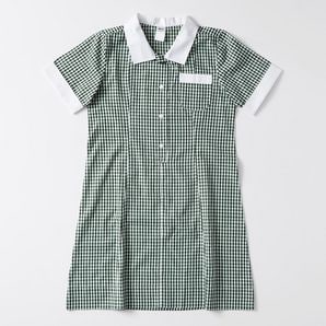 navy blue gingham school dress