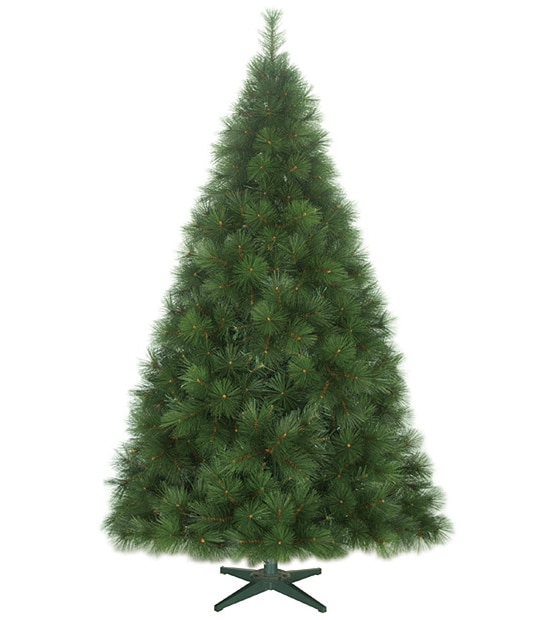 New Frasier Fir Tree - 213cm