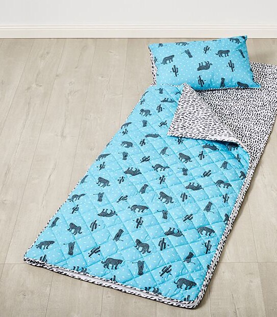 Cool Cats Sleeping Bag