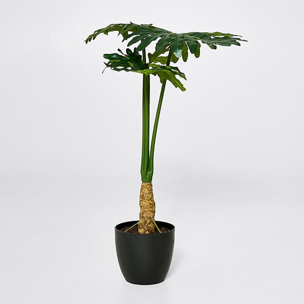 Sellum Philo Artificial Plant Target Australia