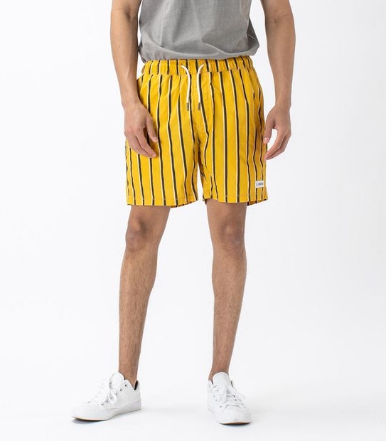 ZxZanerobe V-Stripe Volley Shorts