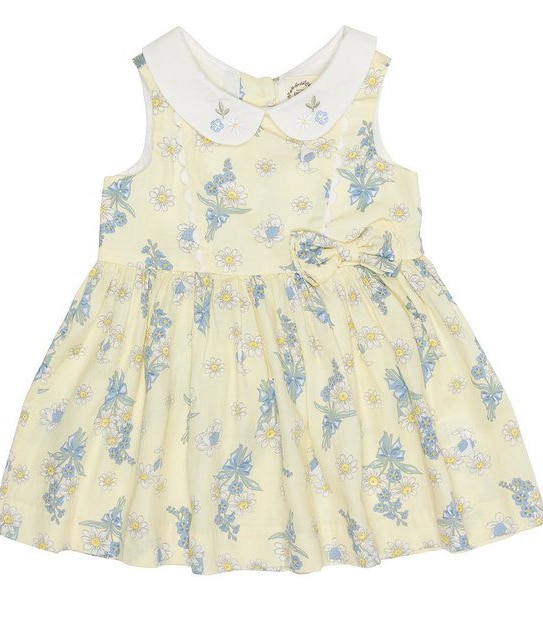 Peter Rabbit Baby Dress