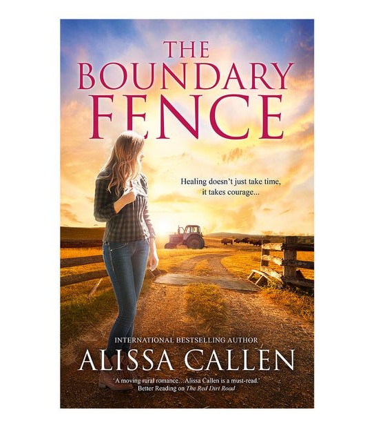 The Boundary Fence/The Silver C - Alissa Callen