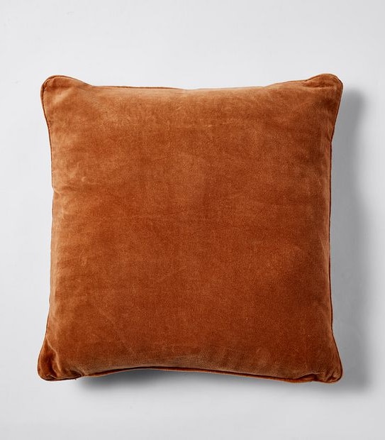 Velvet Cushion