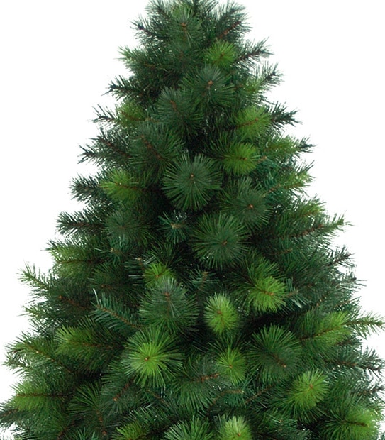 Nevada Pine Tree - 244cm
