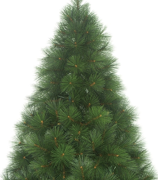 New Frasier Fir Tree - 213cm