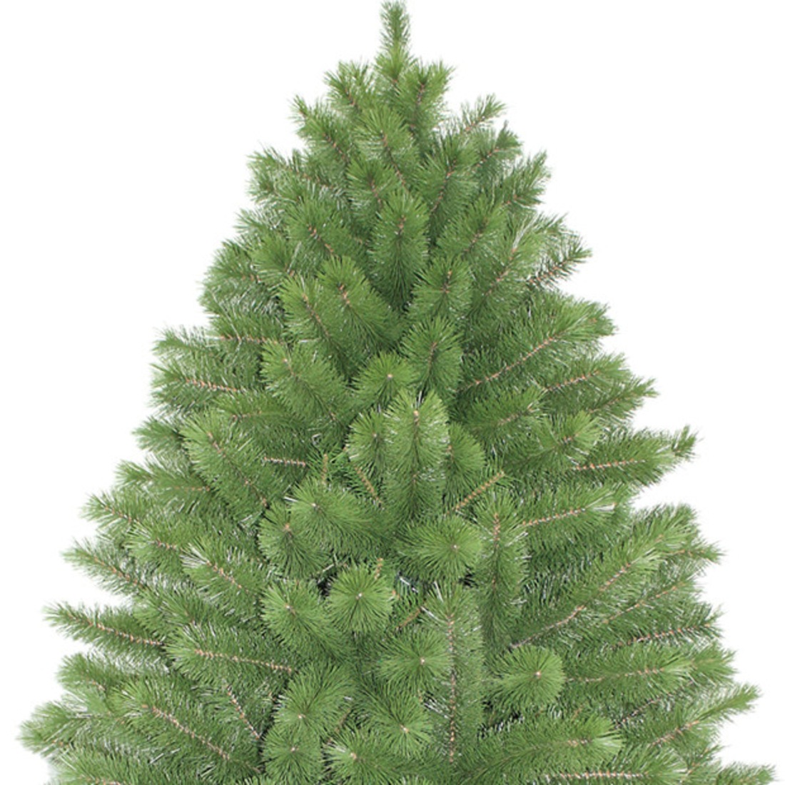 Aussie Christmas Tree - Aussie Woman S Adorable Find Hidden In