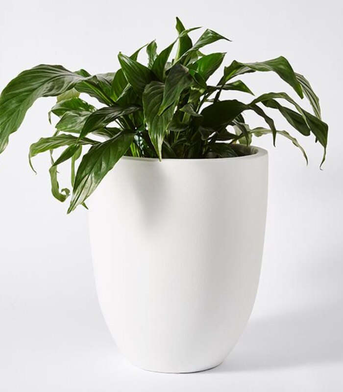 Target Planters Clearance