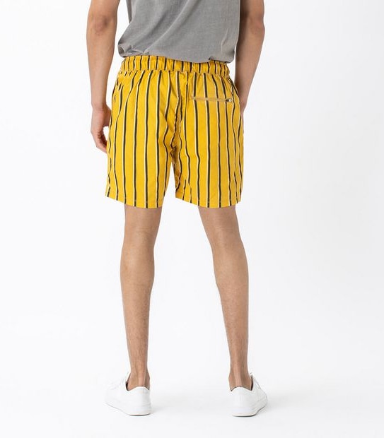ZxZanerobe V-Stripe Volley Shorts
