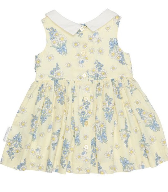 Peter Rabbit Baby Dress