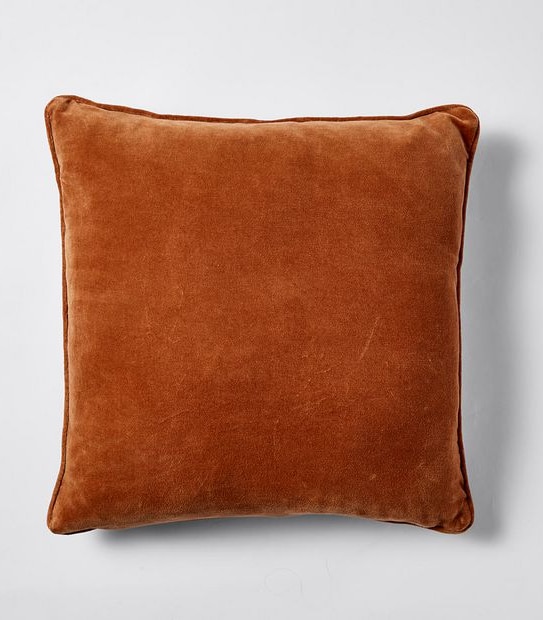 Velvet Cushion