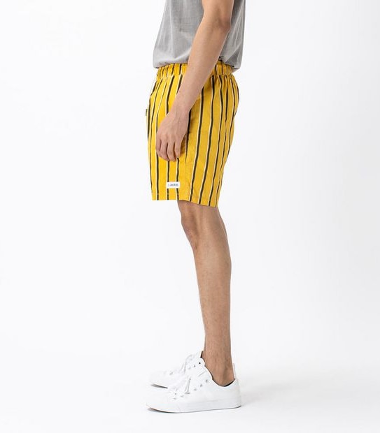 ZxZanerobe V-Stripe Volley Shorts