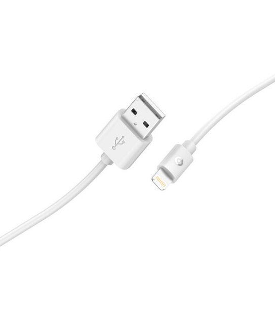 1m Lightning to USB-A Cable