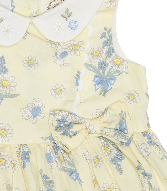 Peter Rabbit Baby Dress