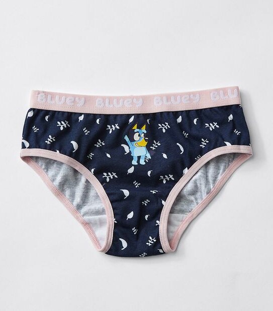 Bluey 4 Pack Girls Briefs