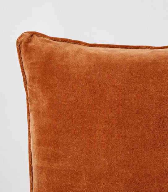 Velvet Cushion