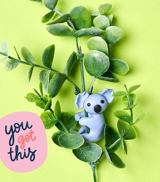 Curious Craft - Wildly Cute Make Your Own Erasers