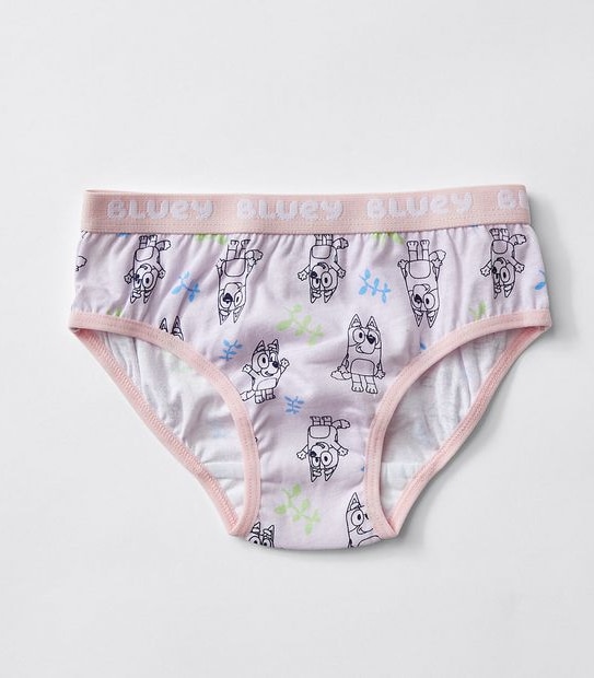 Bluey 4 Pack Girls Briefs