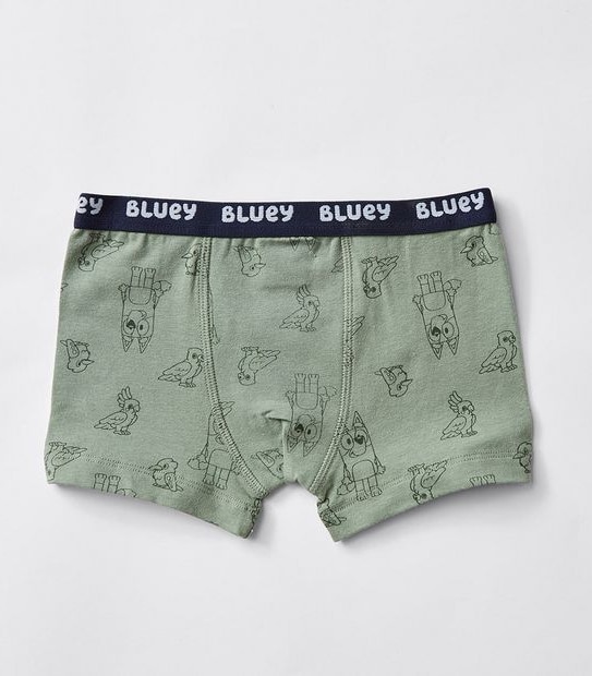 Bluey 2 Pack Boys Trunks