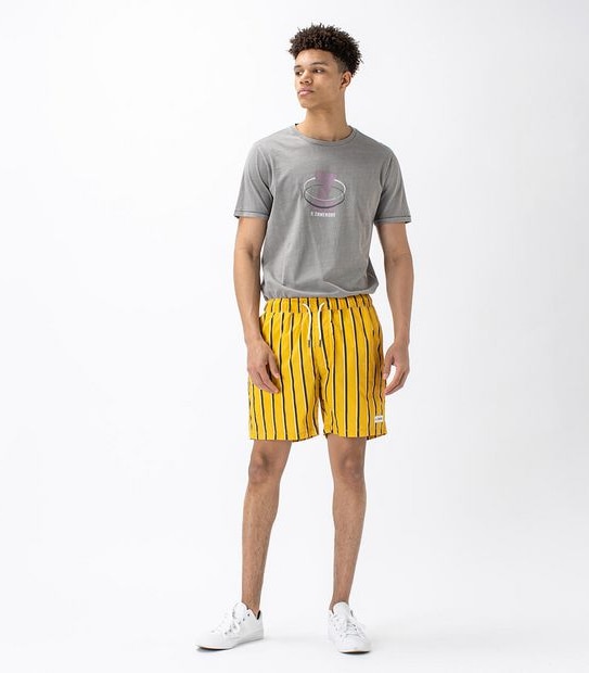 ZxZanerobe V-Stripe Volley Shorts