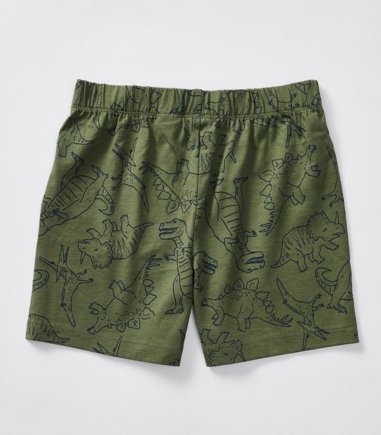 Dinosaur Pyjama Set
