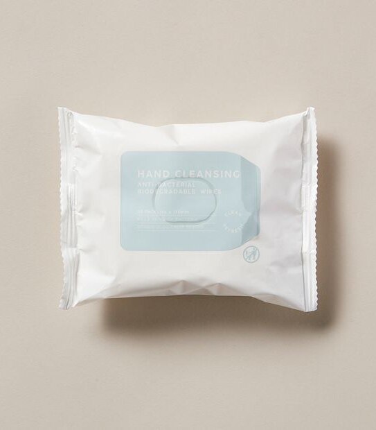 25 Pack Hand Cleansing Anti-Bacterial Biodegradable Wipes