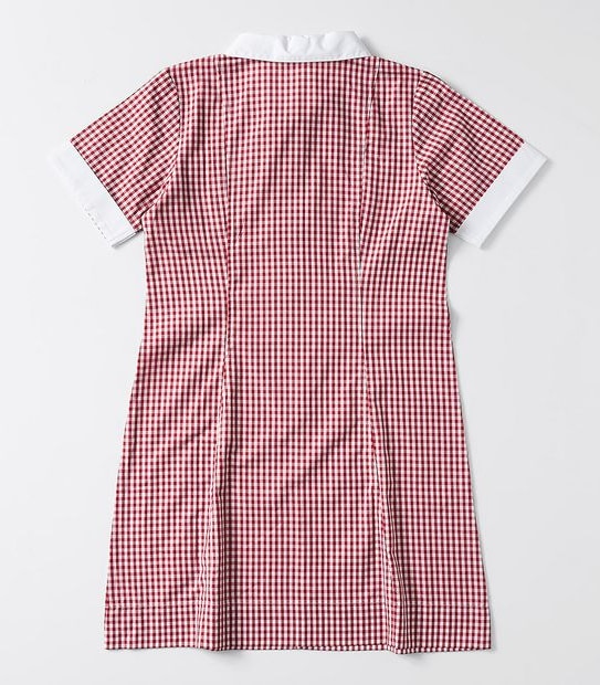 Gingham School Dress
