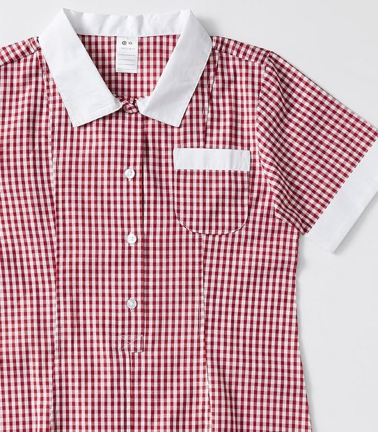 Gingham School Dress