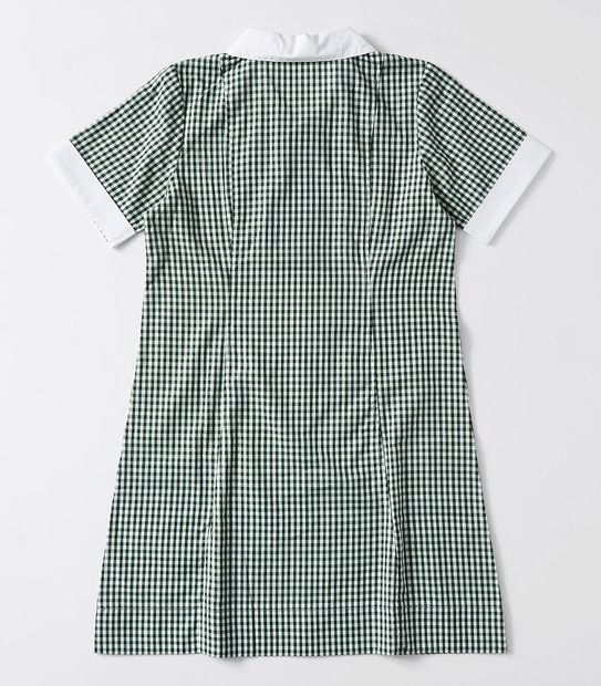 Gingham School Dress