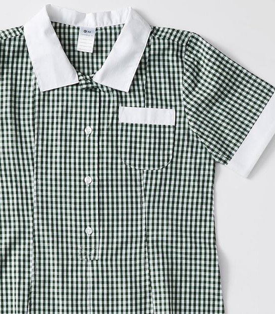 Gingham School Dress