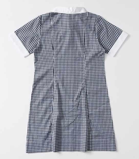 Gingham School Dress