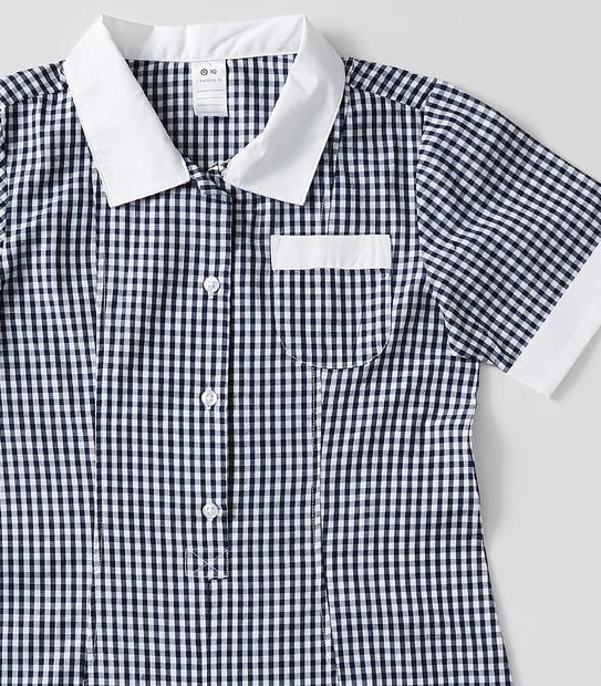 Gingham School Dress
