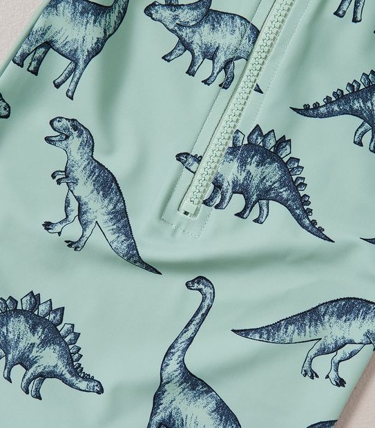 2 Piece Baby Dinosaur Swim Set