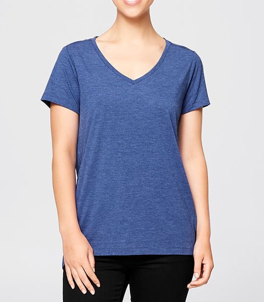 The V-Neck T-Shirt