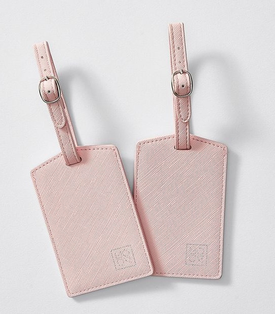 Mouv 2 Pack  Luggage Tag - Blush
