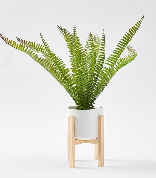 Potted Faux Boston Fern Plant on Stand