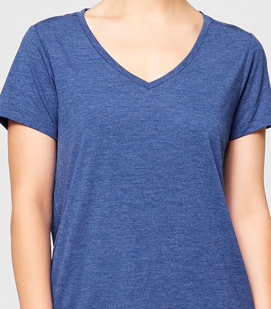 The V-Neck T-Shirt