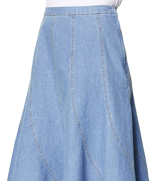Chambray Gored Skirt