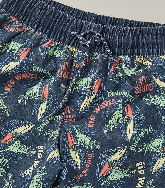 Swim Boardshorts
