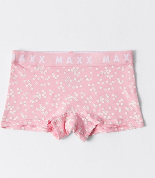 Maxx Briefs 3 Pack