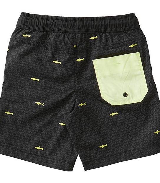Shark Print Shorts
