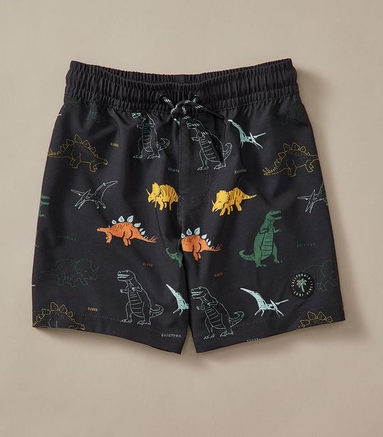 Swim Boardshort