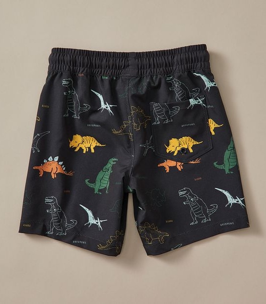 Swim Boardshort